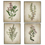 Blumen poster vintage - Vintage shop