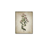 Blumen poster vintage - Vintage shop