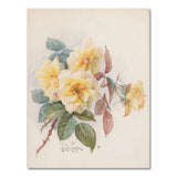 Poster blumen vintage - Vintage shop