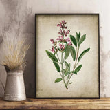 Blumen poster vintage - Vintage shop